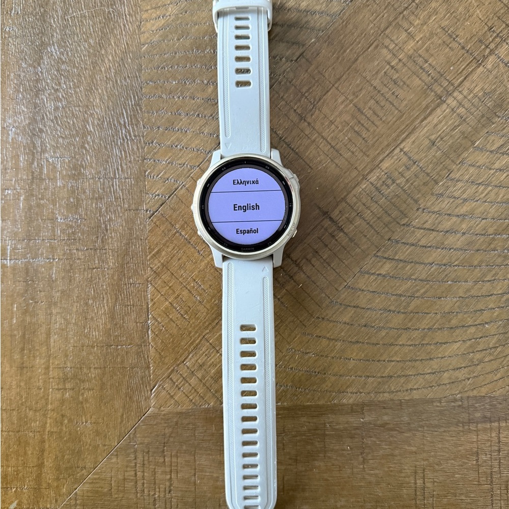 Garmin Fenix 6S